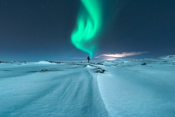 Northern Lights Minibus Tour With Free Photos & Hot Chocolate - Customer Reviews