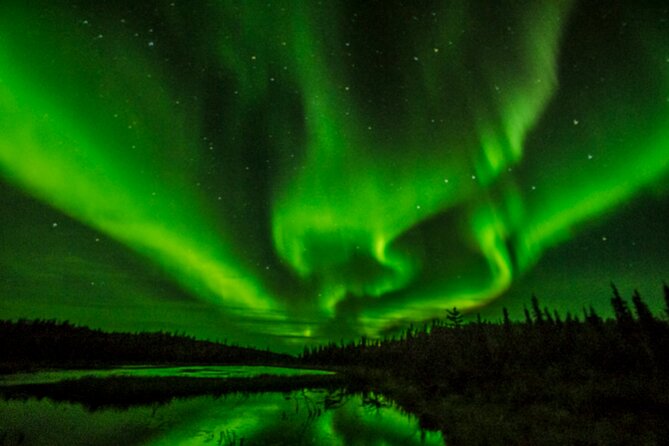 Northern Lights Tours - Inclusions and Amenities