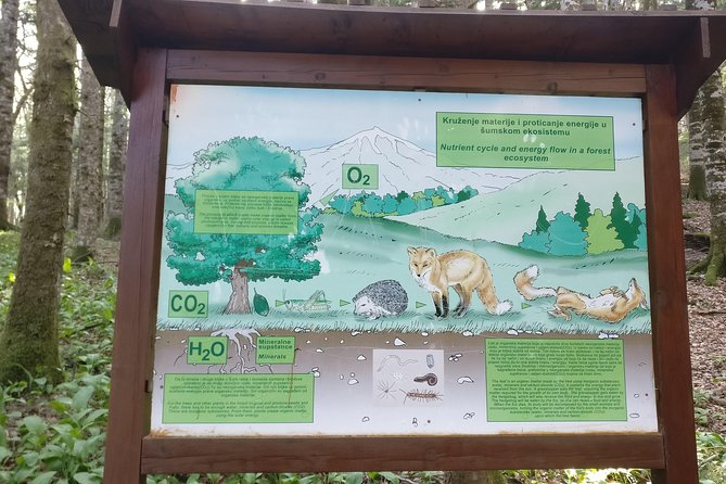 NP Biogradska Gora and Canyon Moraca (Private Tour) - Booking Information
