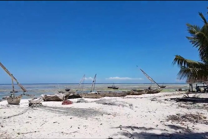 Nungwi Village Tour - Host Response and Insights