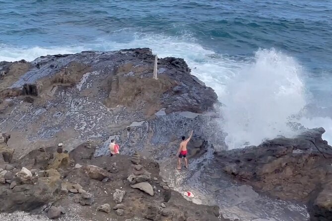 Oahu Allstar Circle Island Tour: Dole, Turtles. Blowhole, Fun - Positive Feedback