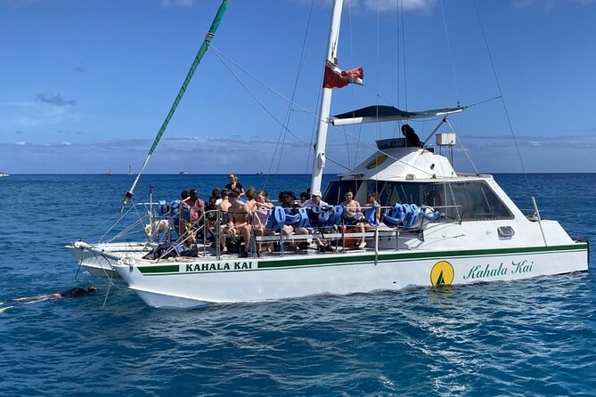 Oahu Catamaran Snorkel With Turtles: SEE TURTLES GUARANTEED!! - Highlights of the Tour