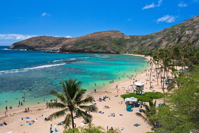 Oahu Island Full-Day Sightseeing Tour - Guest Experiences