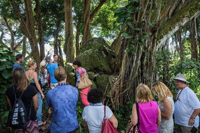 Oahu Personalized Private Tour - Accessibility and Participant Details