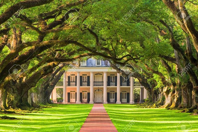Oak Alley Plantation & Airboat Tours - Airboat Ride in the Swamps