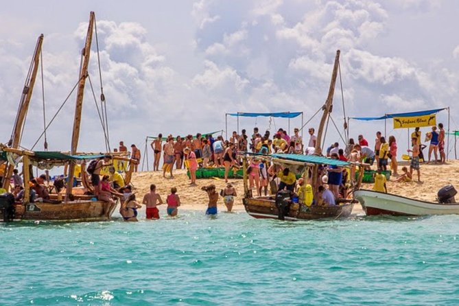 Ocean Safari Tour - Reviews
