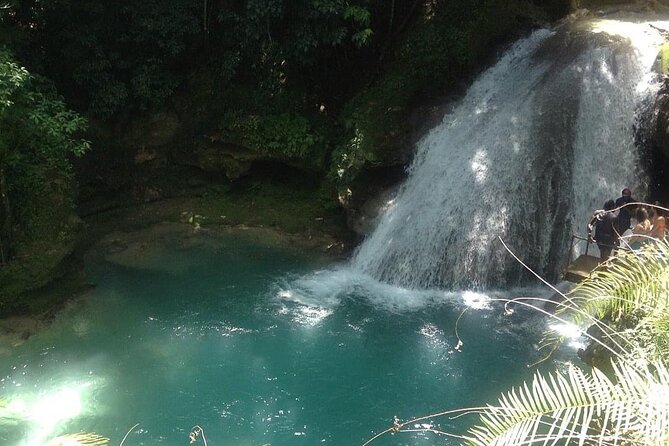 Ocho Rios/Private Tour to Famous Blue Hole and Local Farm in the Countryside - Private Tour Experience