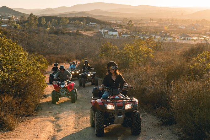 Off Road Tour Experience Plus Winery Visit in Baja - Customer Reviews and Praise