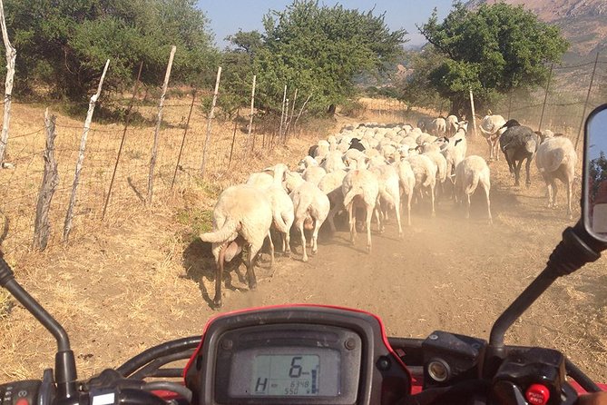 Offroad Cefalù Quad Tour - Meeting Point Details