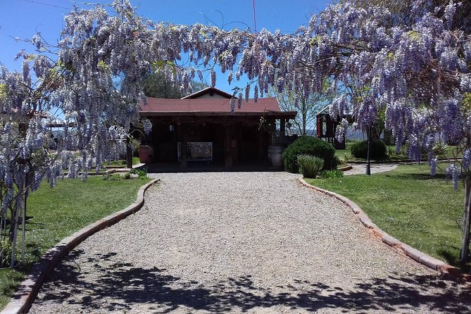 Ojos Negros Valley Wine and Cheese Route Tour in Baja California - Itinerary Highlights