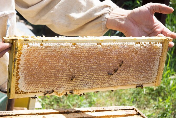 Okanagan Bee Tour and Lunch at Winery in Kelowna - Meeting and Pickup