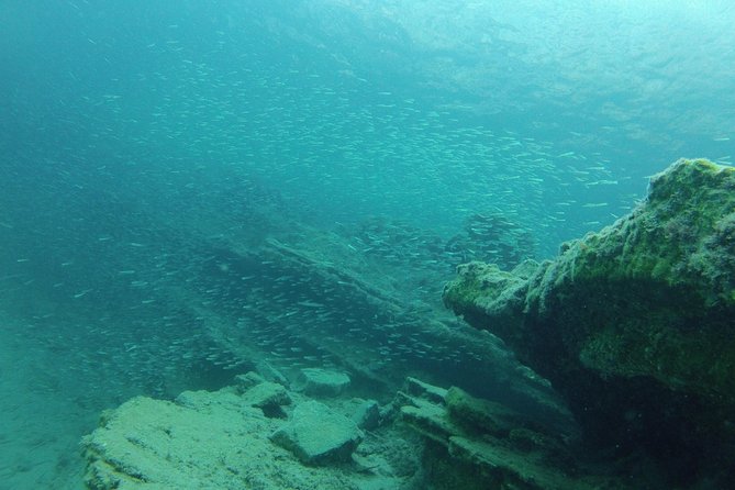 Olous – Guided Snorkelling Excursion to Discover Olous Sunken Ancient City - Additional Requirements and Considerations