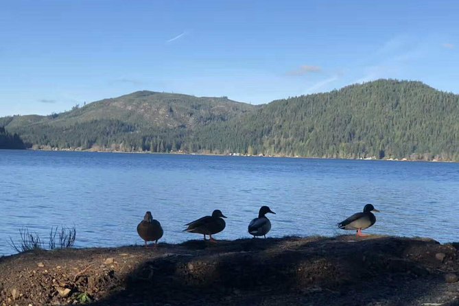 Olympic National Park Full-Day Tour W/ Scenic State Ferries - Preparing for the Adventure