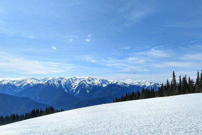 Olympic National Park Luxury Small-Group Day Tour With Lunch - Meeting and Pickup Information