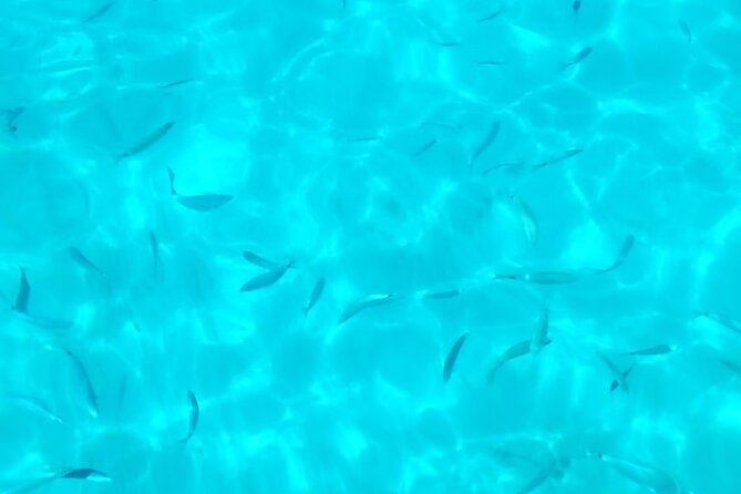 One and a Half Hour Boat Excursion to Scala Dei Turchi - Safety Regulations