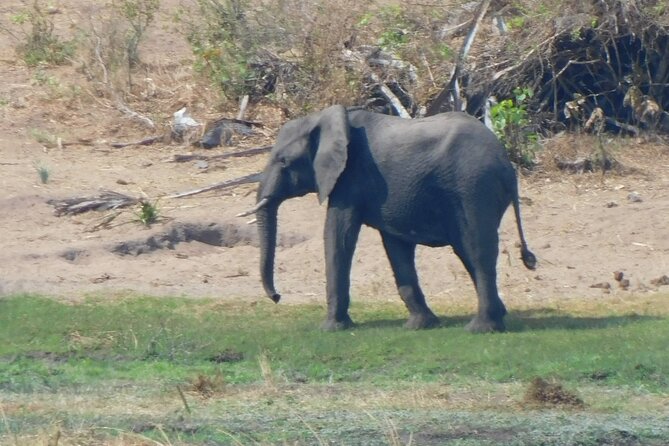 One Day Akagera Safari From Kigali - Birdwatching Opportunities