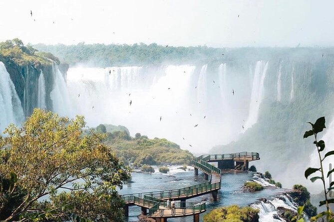 One Day at the Falls Brazil and Argentina Guided With Transfer - Tour Experience