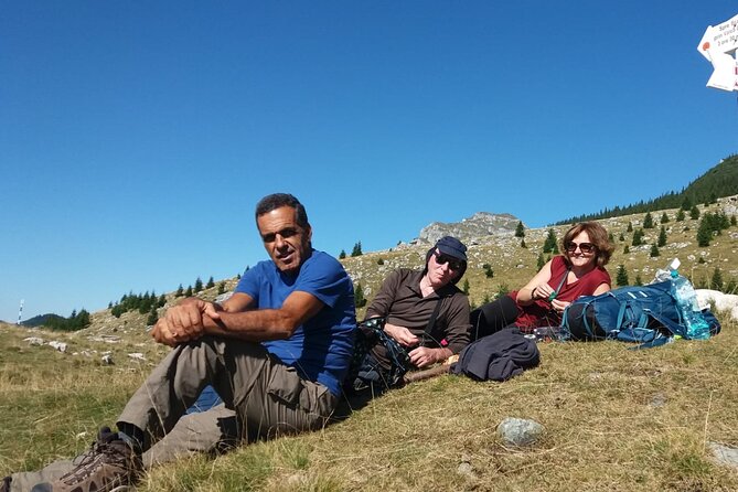 One Day Hiking in Bucegi Natural Park-Private Day Tour From Brasov - Transportation and Pickup Details