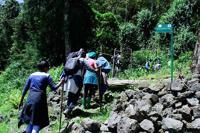 One Day Mount Bisoke Hike Adventure Tour in Volcanoes Park - Itinerary Highlights