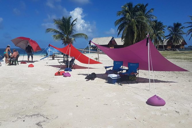 One Island Day Tour to San Blas Islands - Snorkel & Kayaks - Activities and Highlights