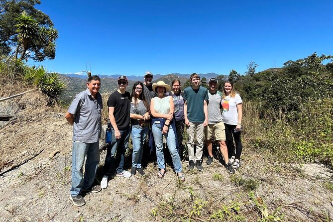 Organic Coffee Farm Tour - Coffee Harvesting and Processing