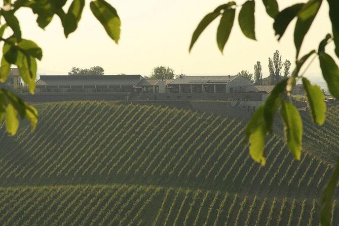 Organic Winery Tour and Balsamic Tasting in Modena - Additional Information