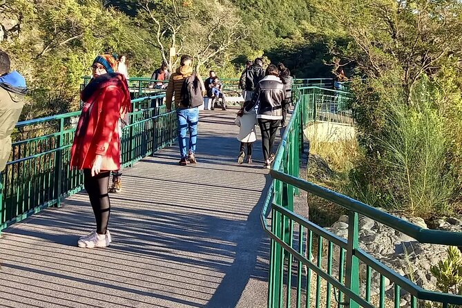 Osorno Volcano Tour + Petrohue Falls / Cruises / Spanish - Booking and Cancellation Policy