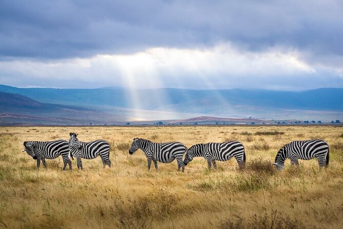 Outstanding Day Trip to Tarangire National Park - Whats Excluded