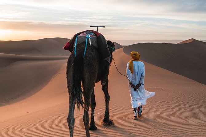 Overnight Desert Tour From Fez - Small Group - Camel Riding at Sunset