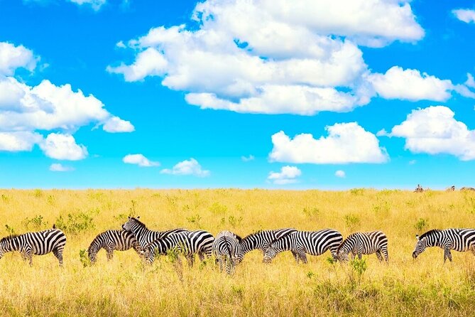 Overnight Tour in Amboseli National Park From Nairobi - Pickup and Start Time