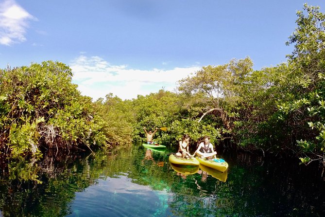 Paddleboard Cenote Tour - Meeting and Pickup