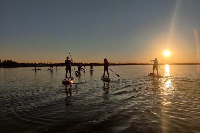 Paddleboarding in Dublin - Equipment and Attire Provided