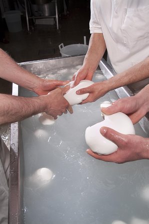 Paestum and Mozzarella Farm Experience - Logistics and Pickup Arrangements