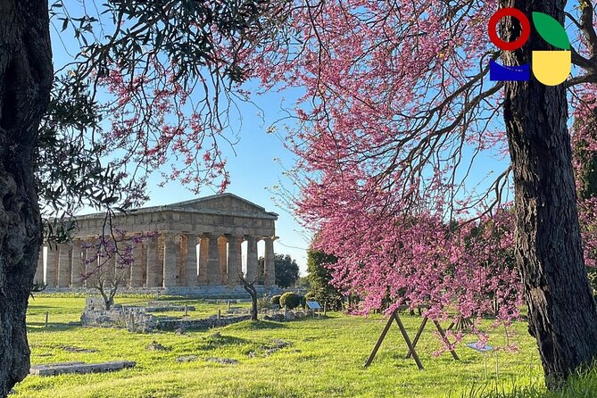 Paestum Orientation Tour Review - Accessibility and Transportation