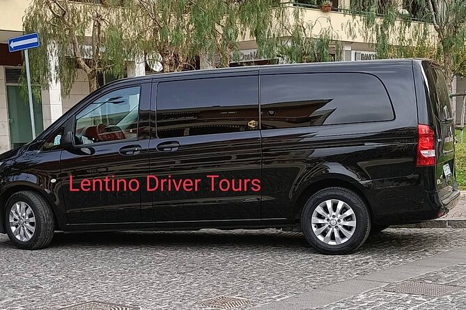Paestum Park and Bufalo Farm Day Tour From Sorrento - Accessibility Features