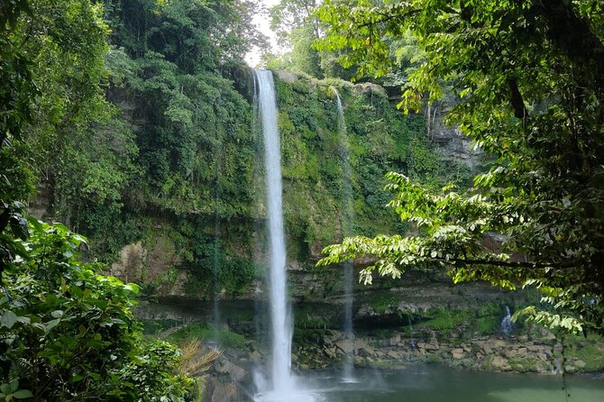 Palenque and Jungle Waterfalls From Tuxtla Gutierrez - Traveler Feedback