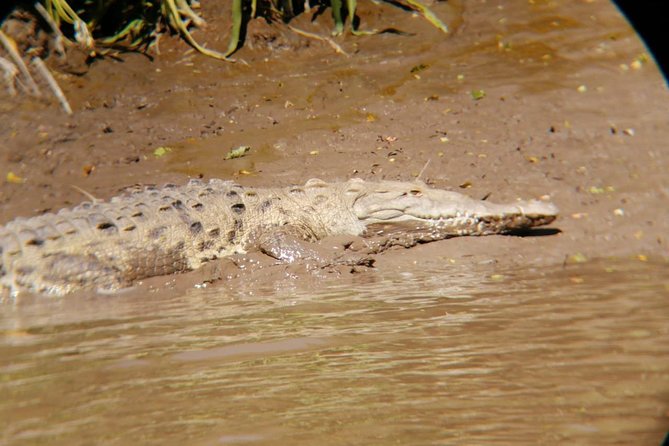 Palo Verde National Park Boat and Wildlife Tour One Day Tour - Lunch and Cultural Experience