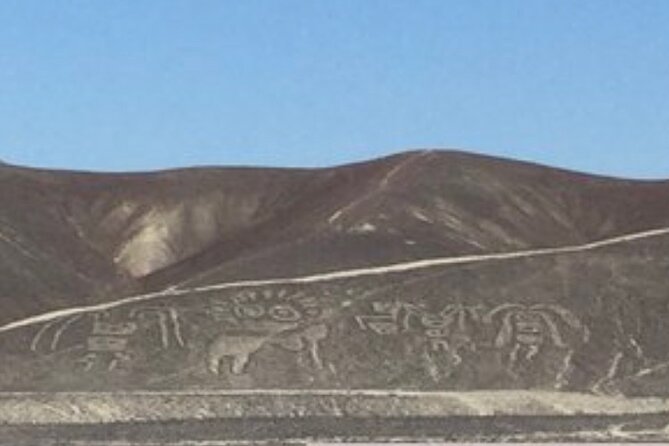 Palpa and Nazca Viewpoints and Cantalloc Aqueducts Combo - Schedule and Availability