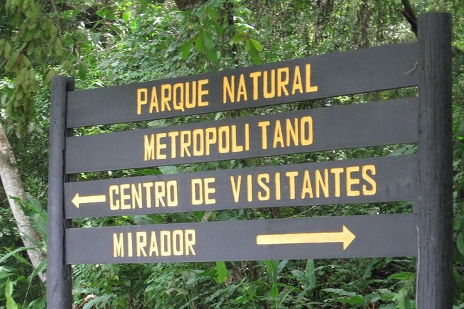 Panama City Metropolitan Park Trail Tour - Trail Terrain and Difficulty