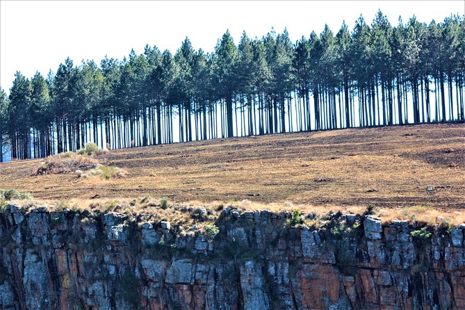 Panorama Route Guided Day Tour & Gorge Lift From Hazyview - Return to Hazyview