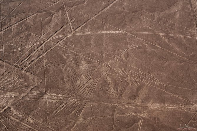 Paracas Shore Excursion: Nazca Lines Tour - Meeting and Pickup Details