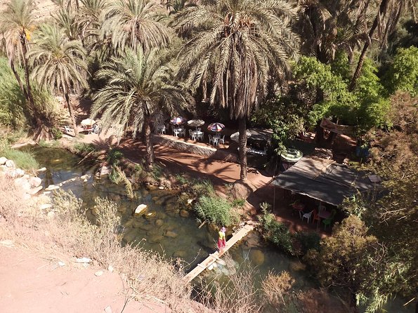 Paradise Valley Half Day From Agadir - Accessibility and Recommendations