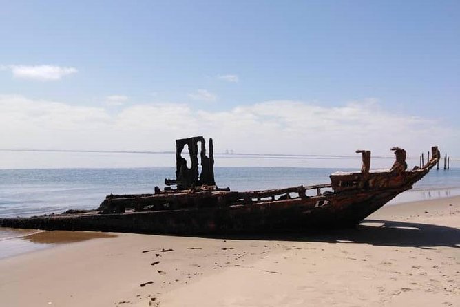 Pelican Point Seal Colony 4x4 Tour - Accessibility and Recommendations