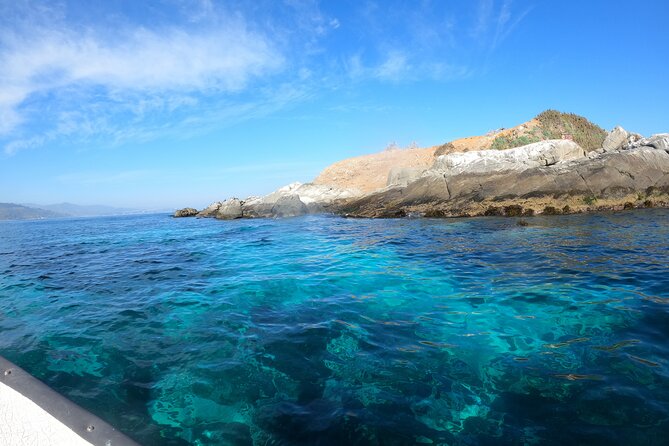Penguins Watching-Navigation & HorseRide&Barbecue From VALPARAISO - Horseback Riding at Terraventura Ranch