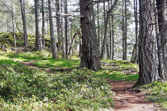 Peninsula Highlights - Booking Information