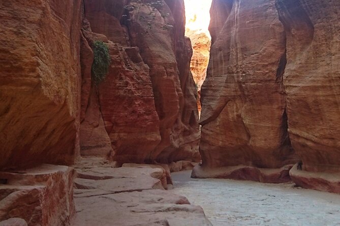 Petra Sightseeing 1 Day Tour From Sharm El Sheikh - Accessibility and Weather Considerations