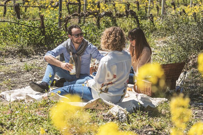 Picnic in the Vineyards - Accessibility and Participation