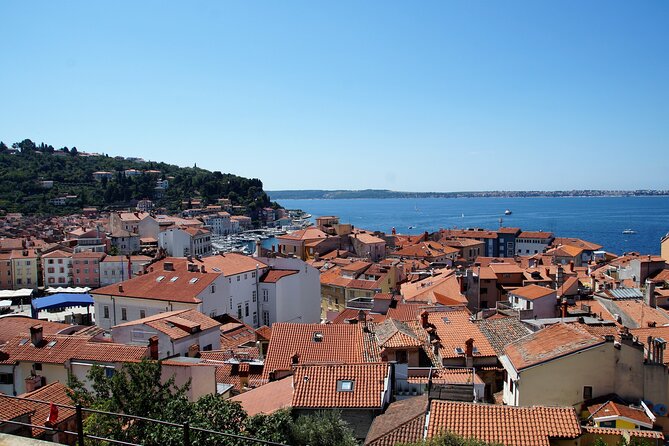 Piran & Panoramic Slovenian Coast - Small Group Tour From Koper - Guided Experience