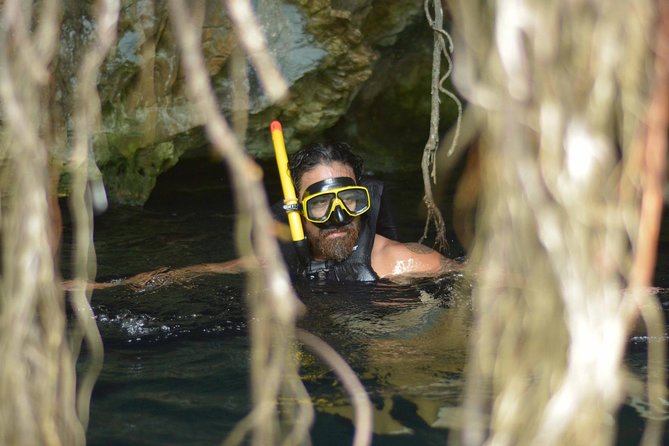 Playa Del Carmen Jungle Tour: Tulum, Cenote Snorkeling, Ziplining and Lunch - Activities and Highlights