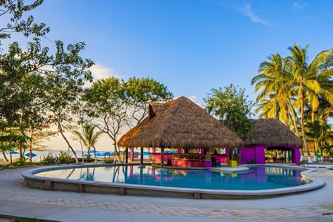 Playa Uvas Open Bar Exclusive Pass - Ratings and Reviews